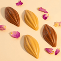 Chocolate Seed Shaped Chocolate Dish