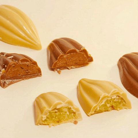 Chocolate Seed Shaped Chocolate Dish