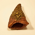 Chocolate Thyme Chips - 50 Pieces