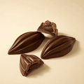 Dark Chocolate Cream with Cocoa Beans