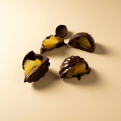 Dark Chocolate — Fruit Fillings