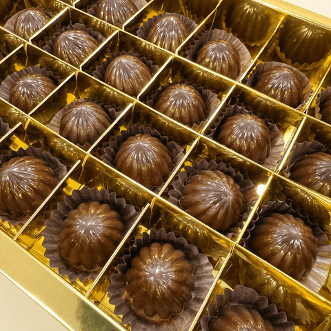 Dark Chocolate — Fruit Fillings