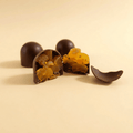 Dark Chocolate — Fruity Mix