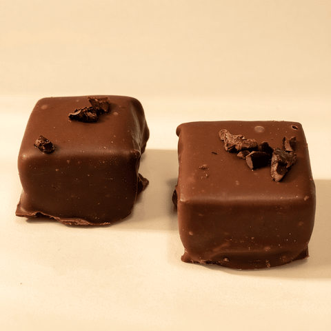 Gianduja Milk Chocolate - Hazelnut Praline and Cocoa Beans