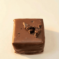 Gianduja Milk Chocolate - Hazelnut Praline and Cocoa Beans