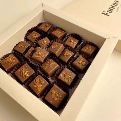 Hazelnut Wafer Chocolate Coated in Milk Chocolate Decorated with Crunchy Biscuit