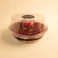 Mixed Berry Trifle