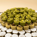 Mixed Ghraiba