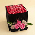 Pink Ombre Chocolate