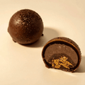 Praline Cocoa Bean Chocolate