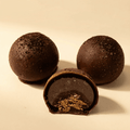 Praline Cocoa Bean Chocolate
