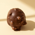 Praline Hazelnut Truffle Chocolate