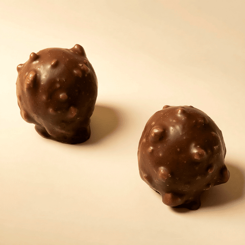Praline Hazelnut Truffle Chocolate