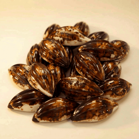 Marble Coated Chocolate