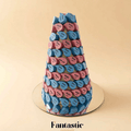 Twin Newborns Chocolate Tower (36)